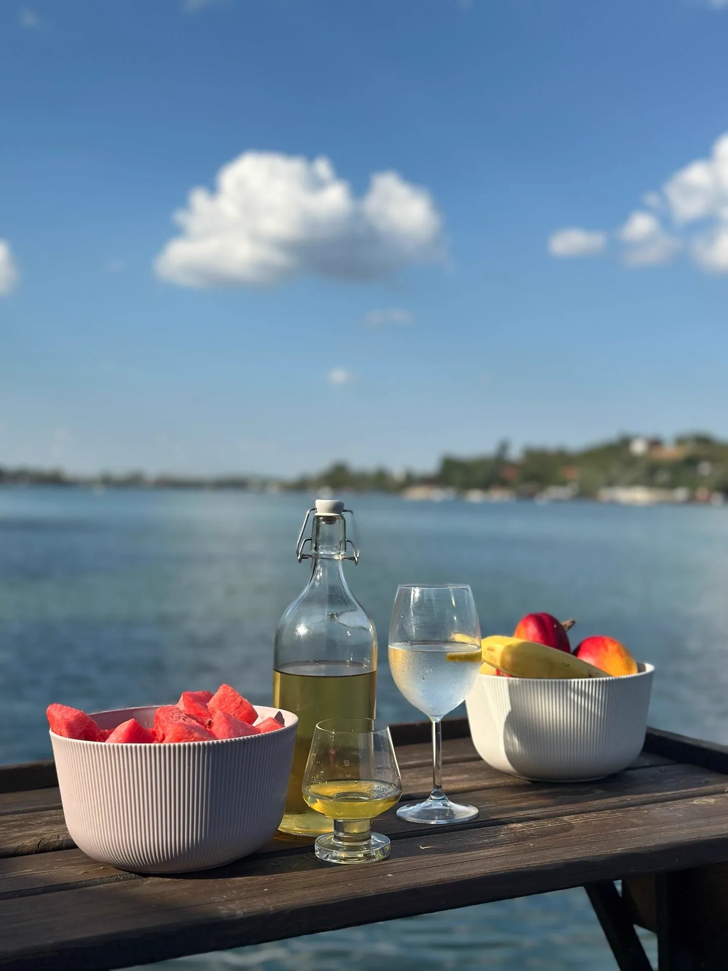 Pogled na reku Savu sa splava, vedro nebo, mesto za firmin dan